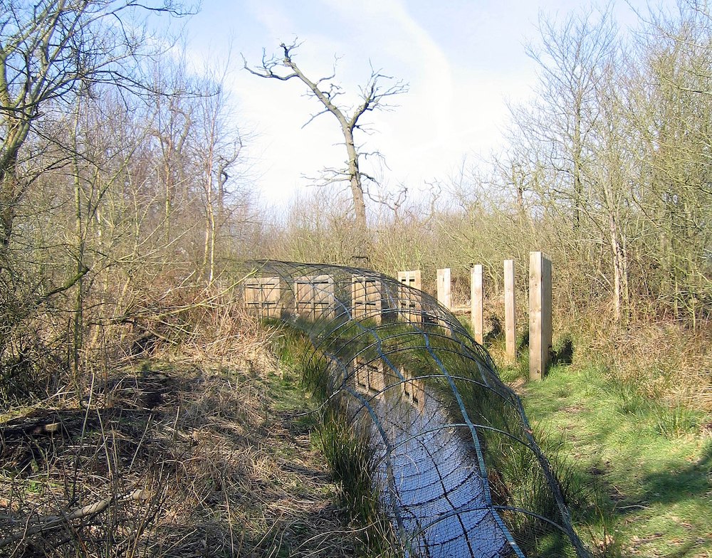 Photograph of a pipe at Hale Duck Decoy