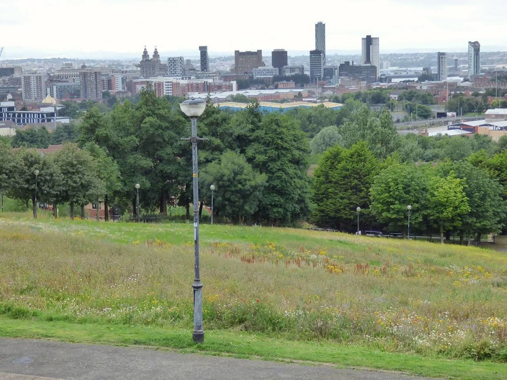 View of Liverpool from Everton Park